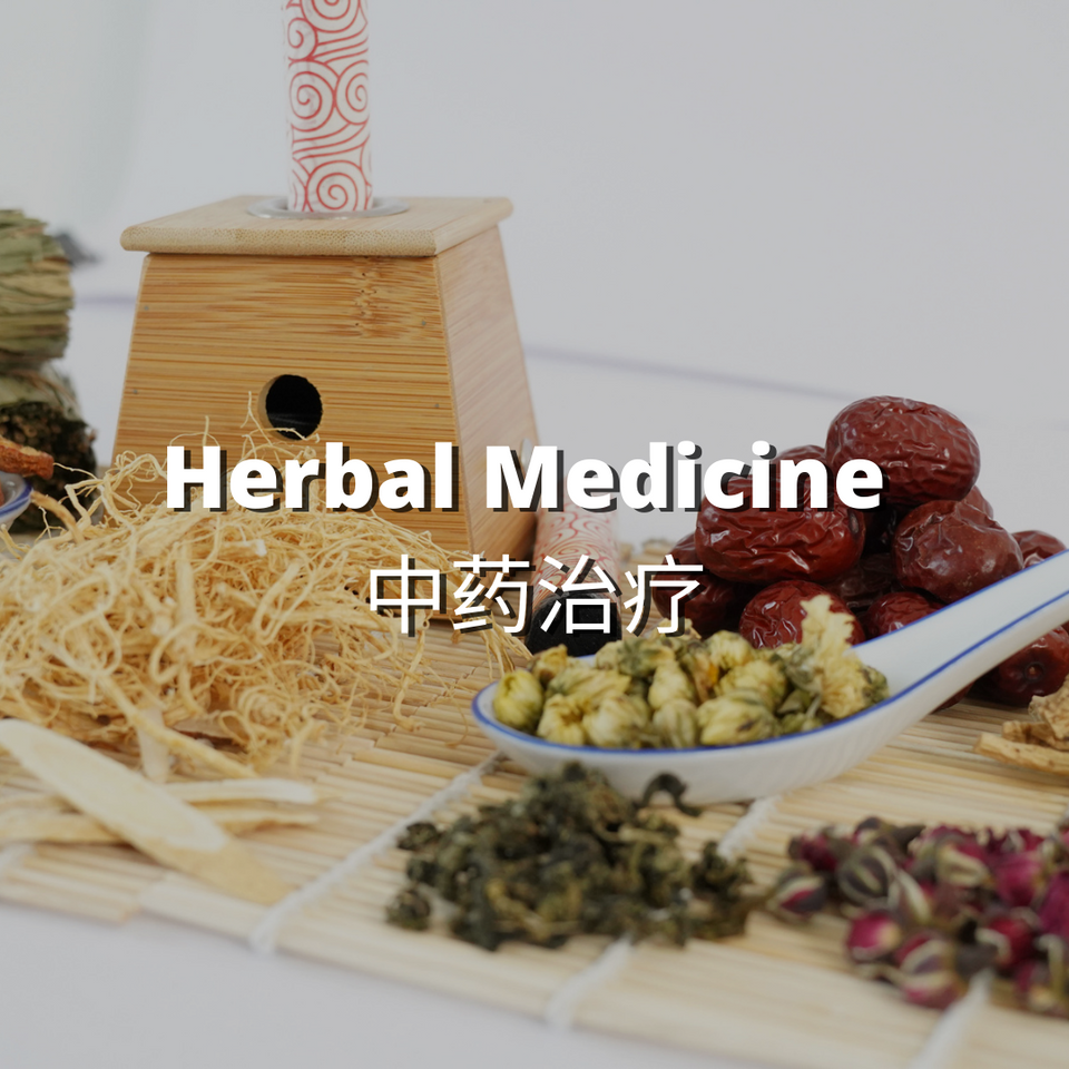 Beacon TCM: Herbal Medicine